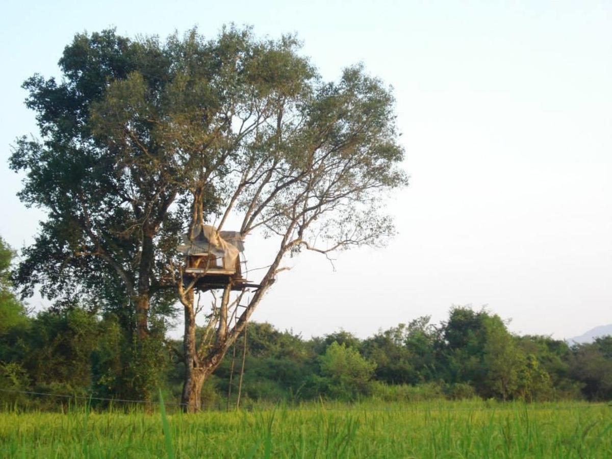 Castle Rock Sigiriya Hotel Kibissa Bagian luar foto