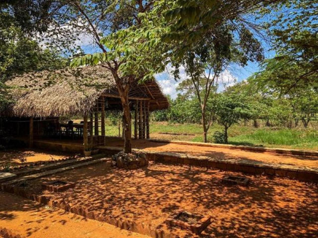 Castle Rock Sigiriya Hotel Kibissa Bagian luar foto