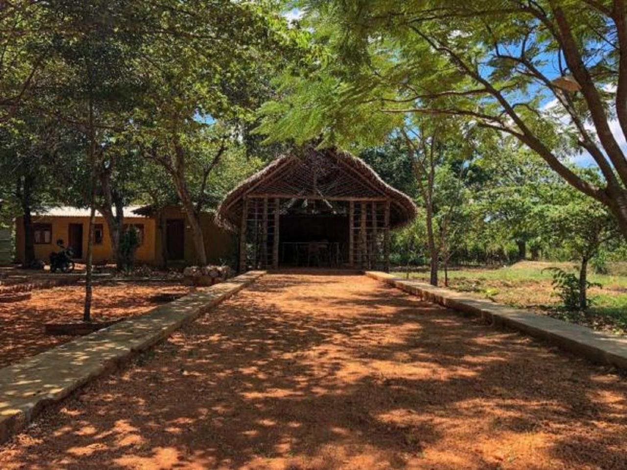 Castle Rock Sigiriya Hotel Kibissa Bagian luar foto